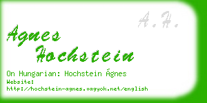 agnes hochstein business card