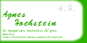 agnes hochstein business card